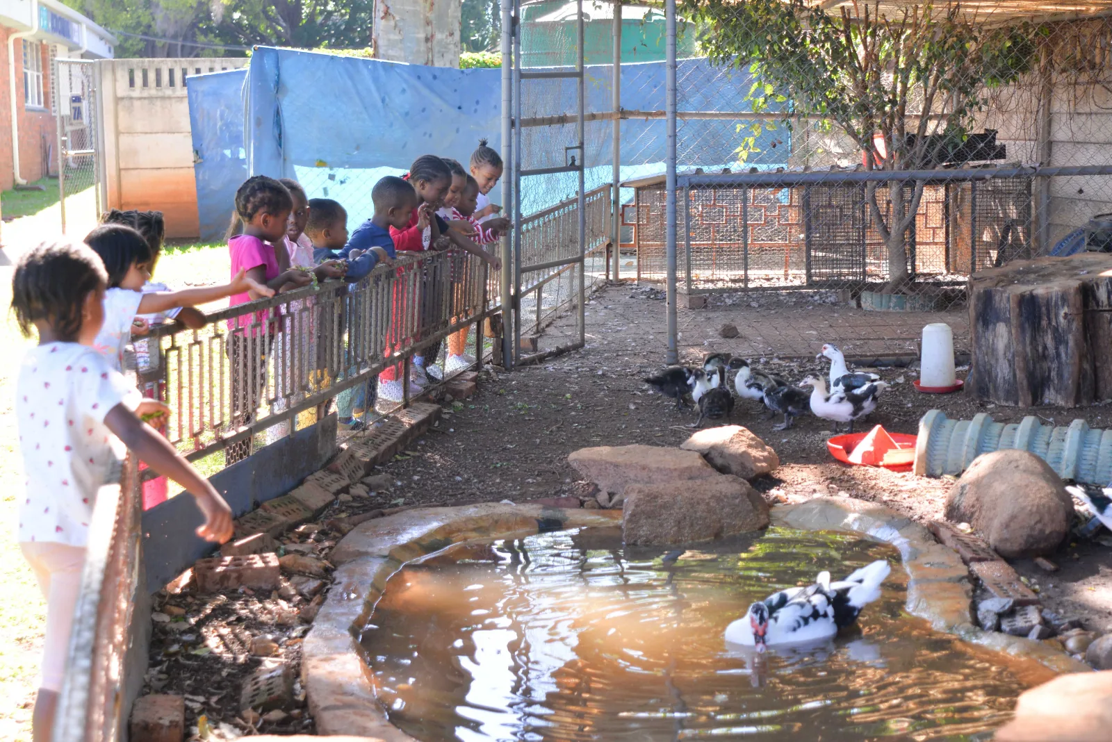 Pet Zone